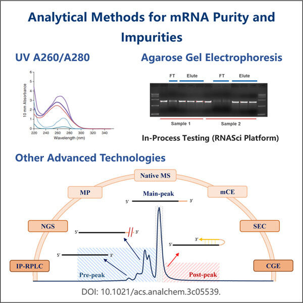 Spolehlivé techniky testování čistoty mRNA