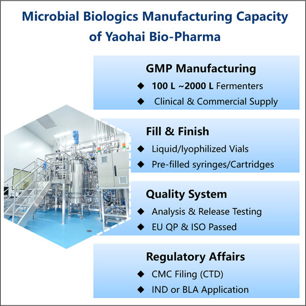 Exploration du potentiel de fabrication du NGF recombinant