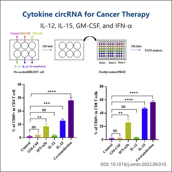 A Promising Strategy in Immunotherapy.