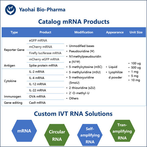 پیشرفت در فناوری mRNA ژن گزارشگر