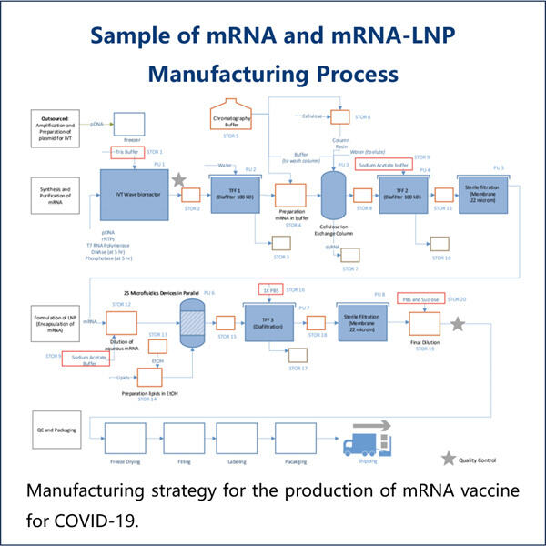 علاج کے استعمال کے لیے طویل IVT RNA کے امکانات کی تلاش