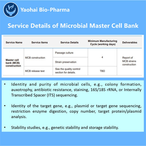 The Importance of a Reliable Master Cell Bank