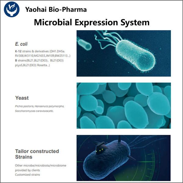 Liberar el potencial de los microbios para una fabricación sostenible