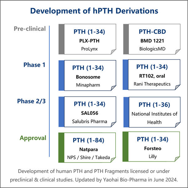 How Recombinant PTH Manufacturing Redefines Modern Medicine?