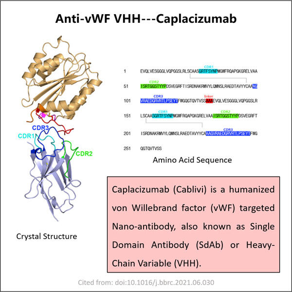 Developing Effective Anti-vWF VHHs