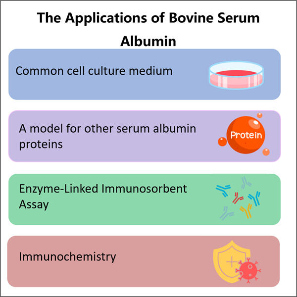 Recombinant BSA as a Safe Alternative