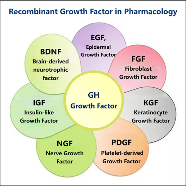 Meeting Regulatory Demands in GMP Growth Factor Manufacturing