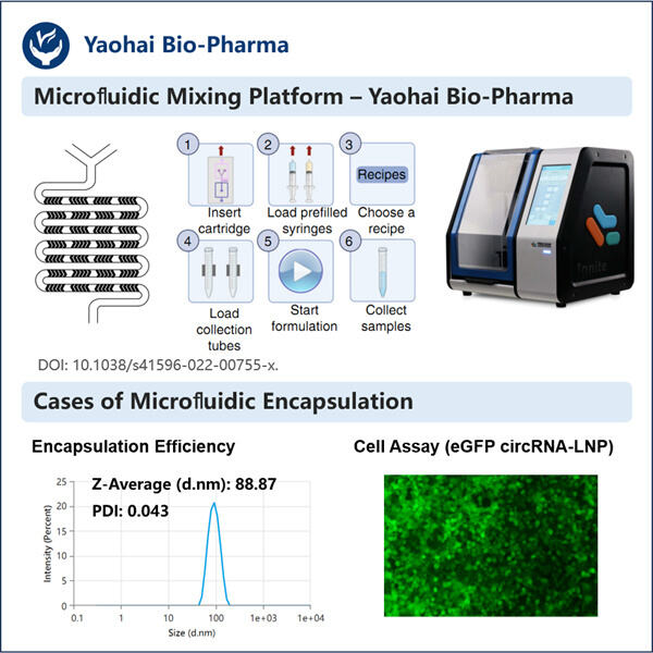 Optimizing Gene Therapy with circRNA-LNP Encapsulation Protocol