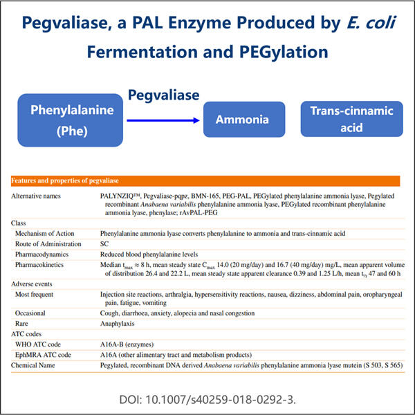 Pengembangan Biosimilar untuk Membuka Jalan Menuju Pengobatan Gangguan Metabolisme yang Terjangkau