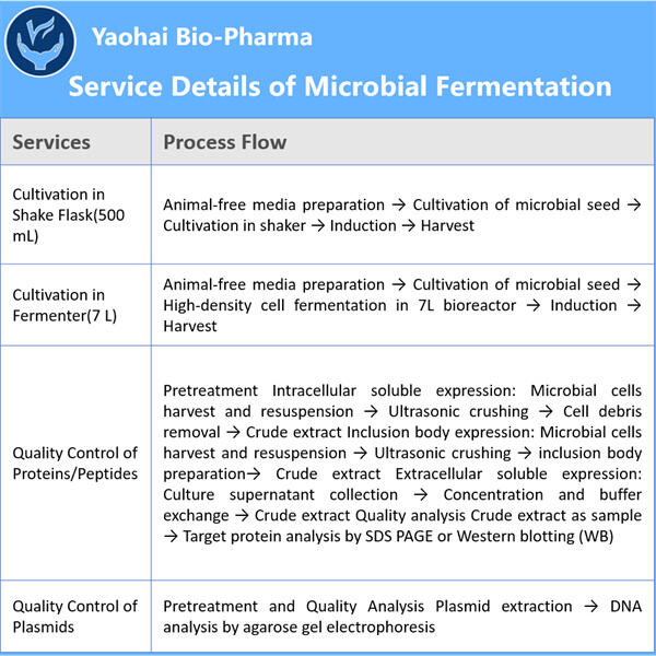 Exploiter la fermentation microbienne pour la production de biocarburants