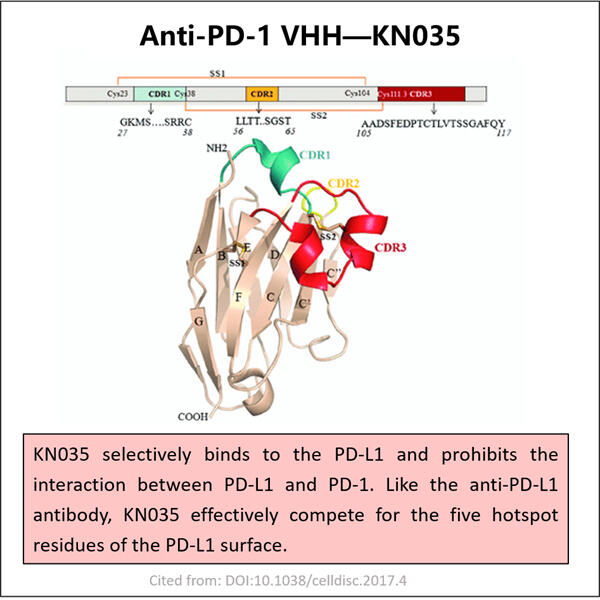 GMP Anti-PD-1PD-L1 VHH