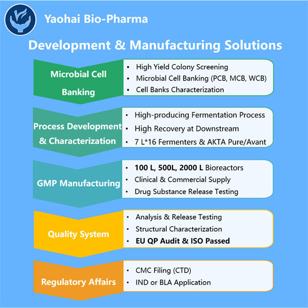 How Microbial Manufacturing is Changing the Landscape of Industry and Sustainability