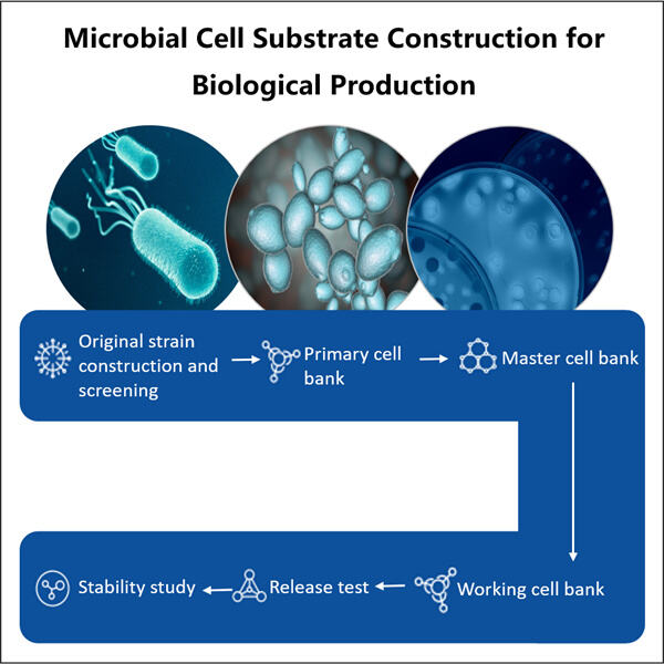 The future of biological product development utilizing microbial cell substrates.