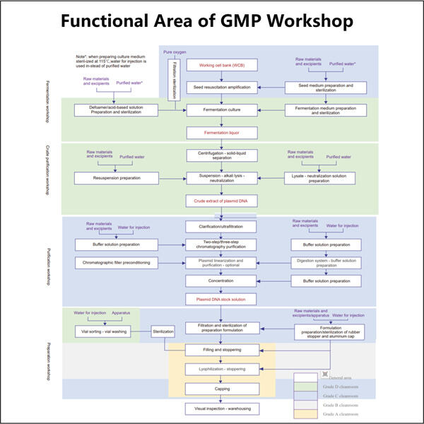 Developing innovative solutions to improve microbial biologic manufacturing precision.