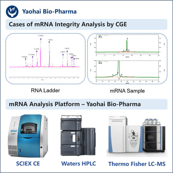 منع النتائج الخاطئة باستخدام اختبار سلامة mRNA