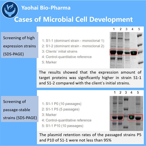 An innovative approach to biotechnology.