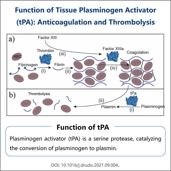 Comparing Reteplase Biosimilar to the Original Drug