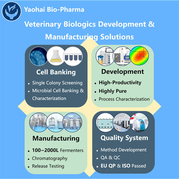 Đáp ứng nhu cầu ngày càng tăng về các sản phẩm sinh học thú y cải tiến với các giải pháp CDMO vi sinh