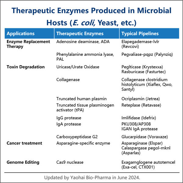 The Promise and Challenges of Enzyme-Based Treatments