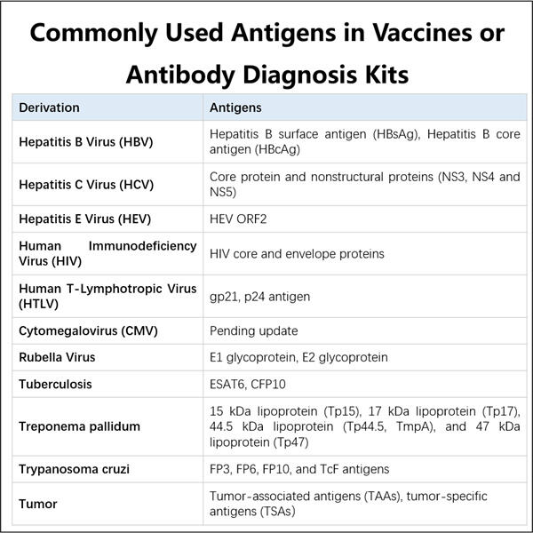 Optimizing Recombinant Antigen Production for Clinical Trials