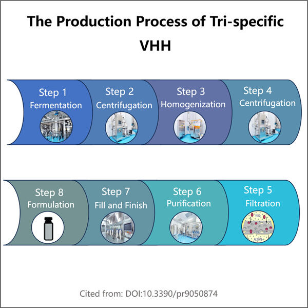 ปฏิวัติการออกแบบแอนติบอดีด้วยเทคโนโลยี VHH แบบไตรสเปซิฟิก