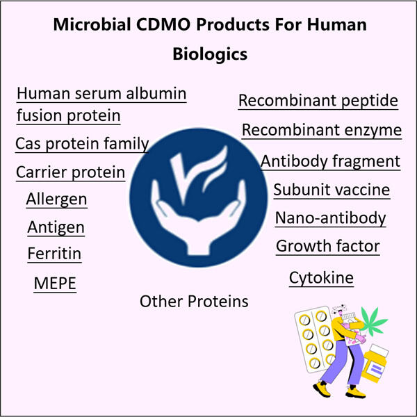 تعظيم الكفاءة والجودة مع خدمات Microbial CDMO