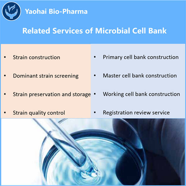 Ensuring Consistency in Biopharmaceutical Production