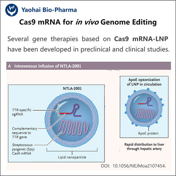 Decoding the Science Behind mRNA Editing Techniques