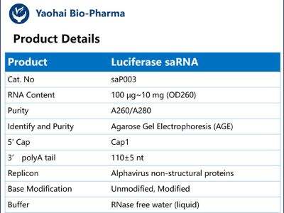 The Science Behind RNA Synthesis: What Businesses Need to Know for Successful Integration