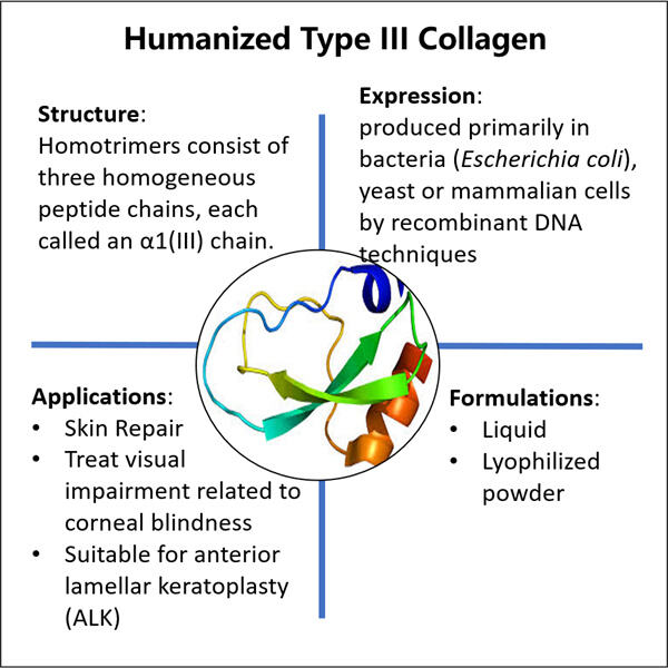 The Future of Biomedical Applications