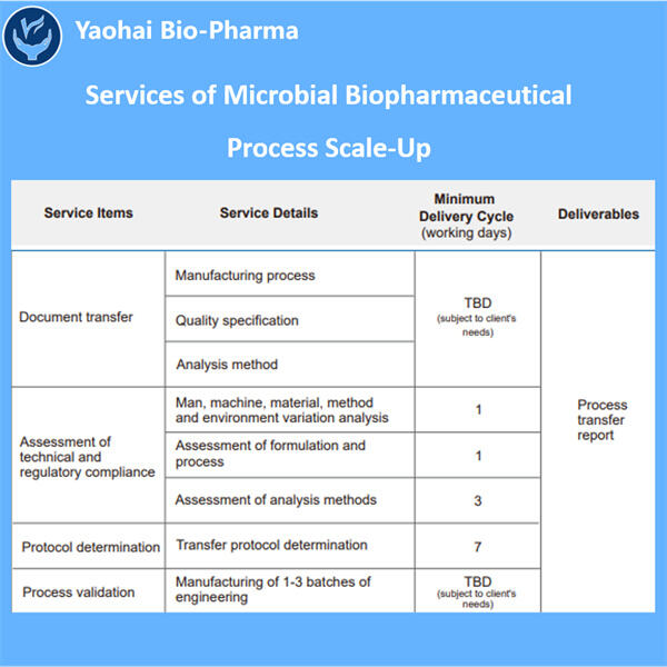 Achieving Success in Microbial Biopharmaceutical Process Scale Up