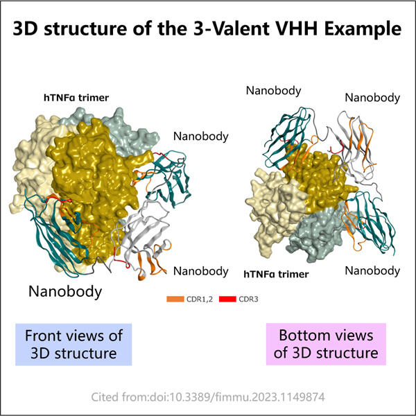 Innovative Tool for Targeted Therapies