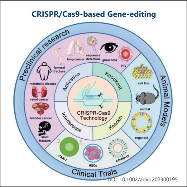 Exploring the potential of CRISPRCas9 circRNA in disease treatmen