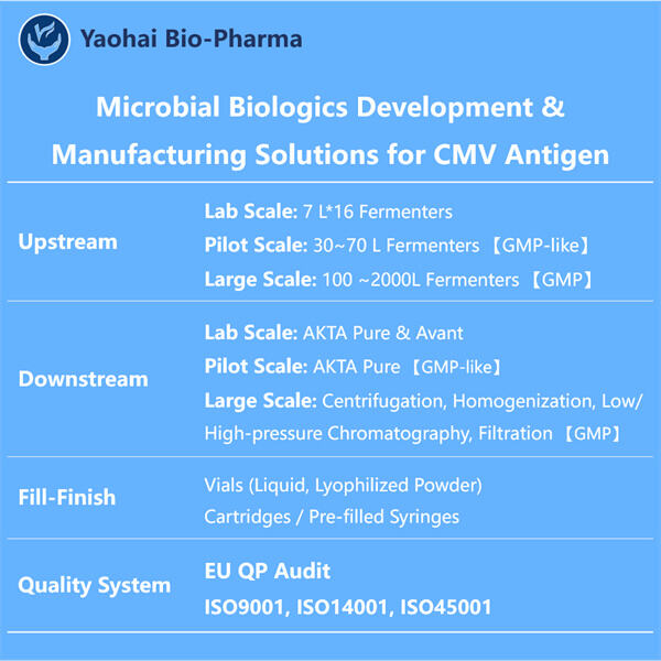 GMP CMV Antigen Manufacturing за персонализирани решенија за здравствена заштита