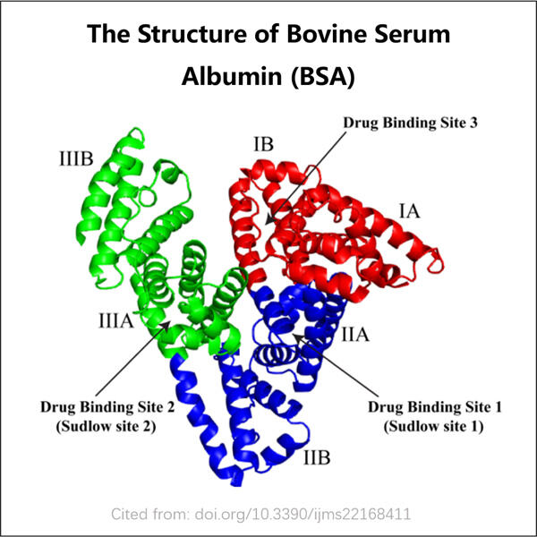 The Rise of Recombinant BSA