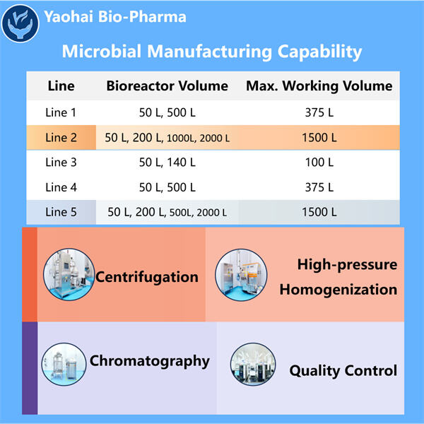 The Future of Microbial Biopharmaceutical Process Scale Up