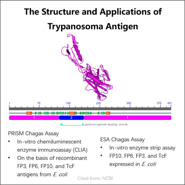 Adhering to GMP Regulations during Trypanosoma Antigen Manufacturing