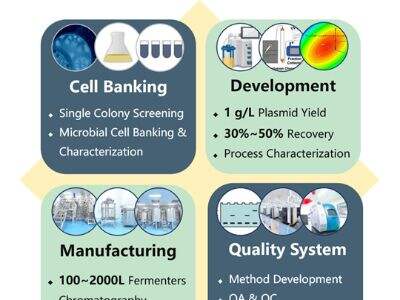 How to Leverage RNA Synthesis Technology to Improve Biopharmaceutical Product Development Efficiency