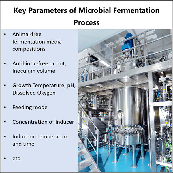 Dezvoltarea unei fermentații microbiene rentabile pentru bioproducție