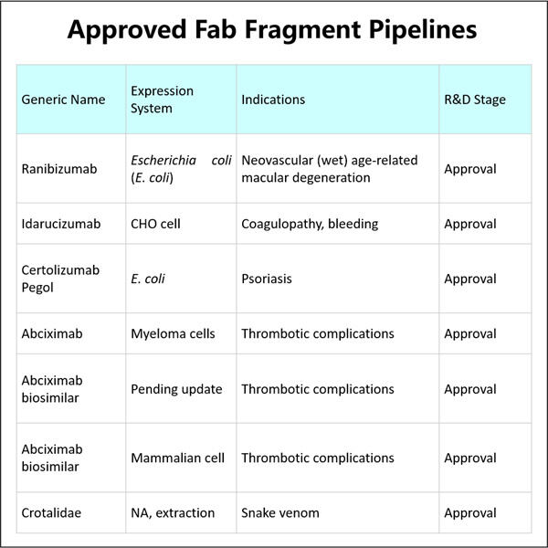 High-throughput GMP Fab Fragment production for accelerated drug developmen