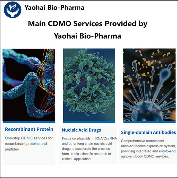 Procesos eficientes y escalables para productos biológicos microbianos