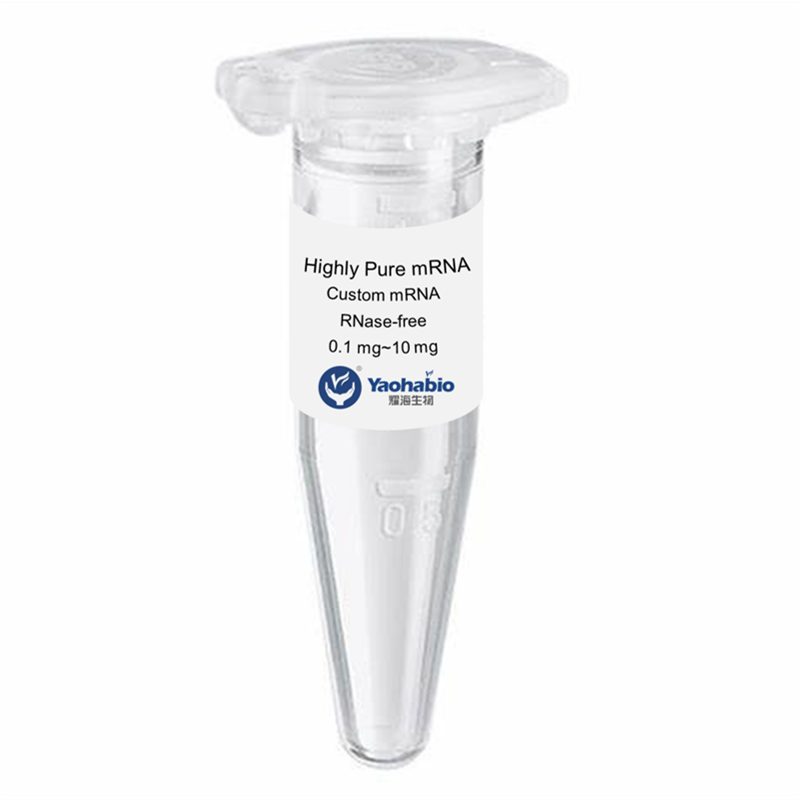 Highly Pure mRNA Synthesis