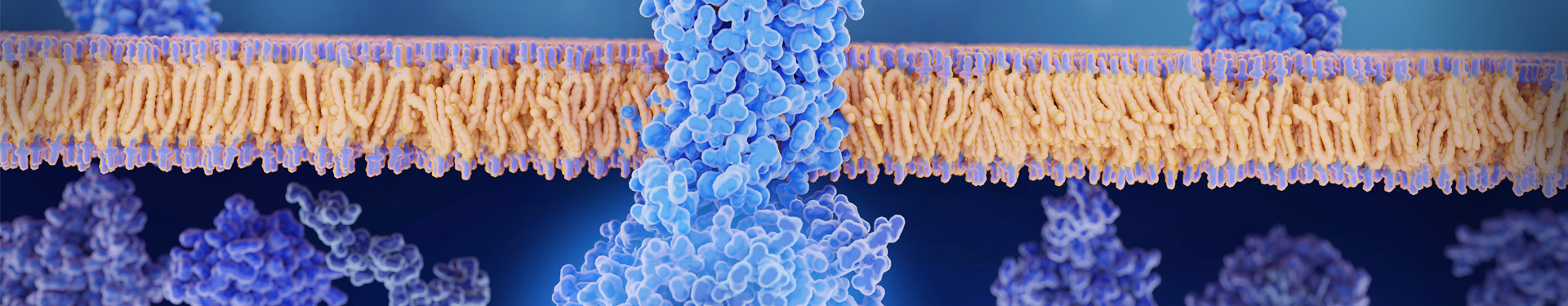 Cas9 Nuclease