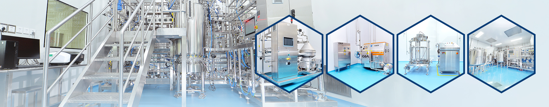 GMP Manufacturing for Clinical Supply