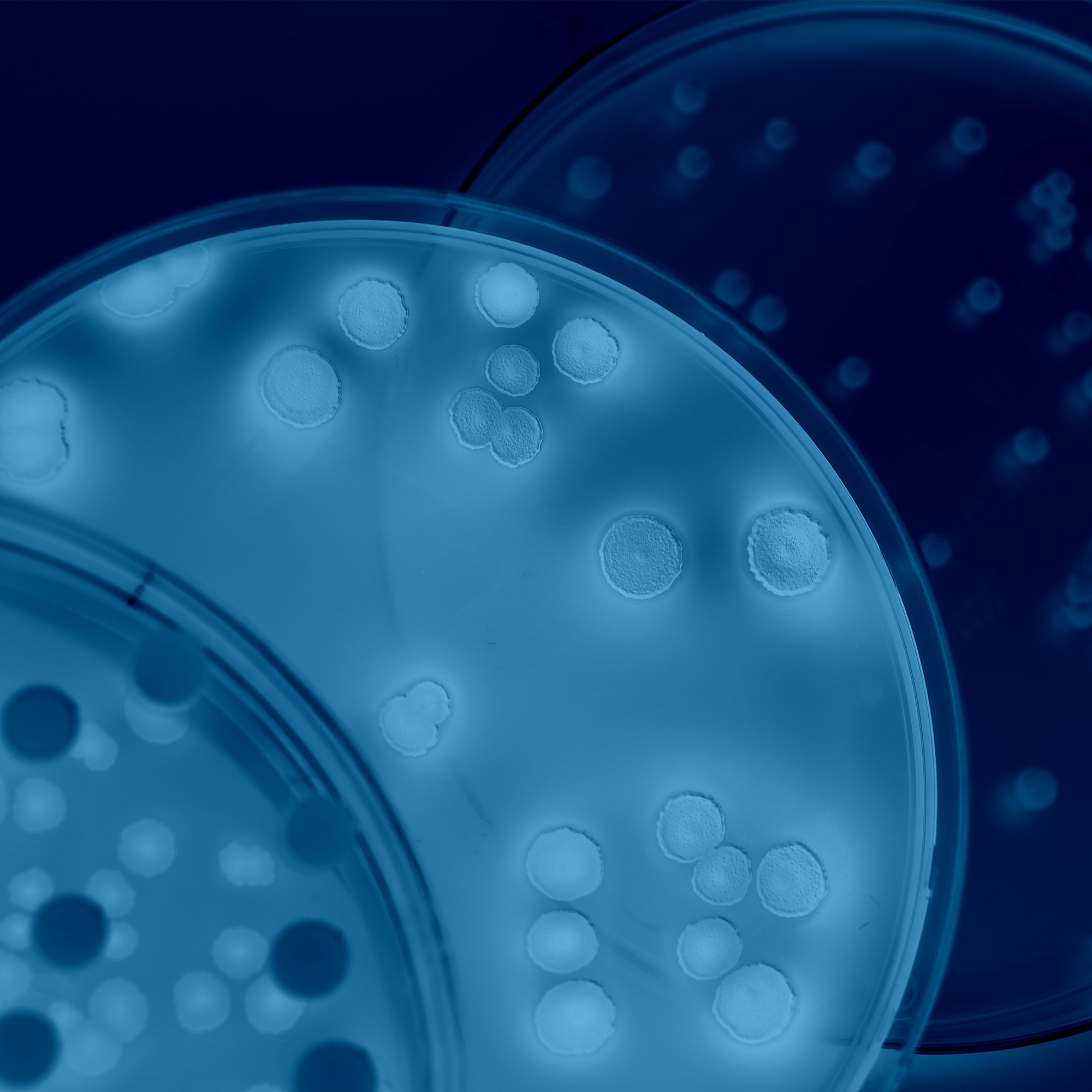 Niet-recombinant DNA-technologie