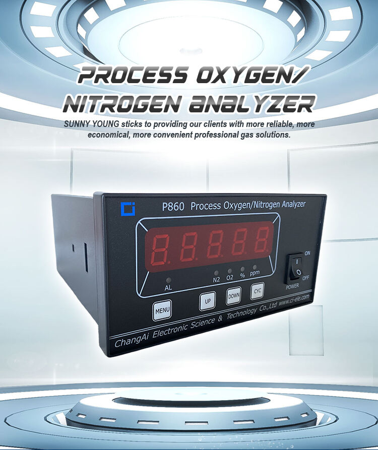 Online O2 Gas Analyzer Can Show Purity Of Oxygen Or Nitrogen manufacture