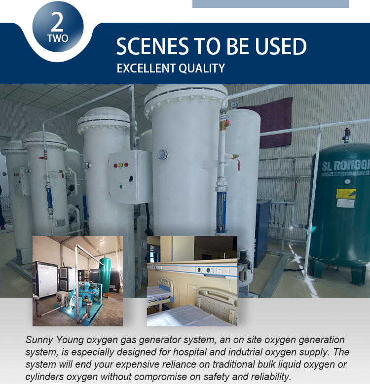 High Purity Industrial Oxygen Production Plant 99% Psa Oxigen Generator For Cylinder Filling details