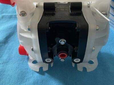 Pag-aaral ng mga Bagong Trend sa Pneumatic Diaphragm Pumps para sa 2025
