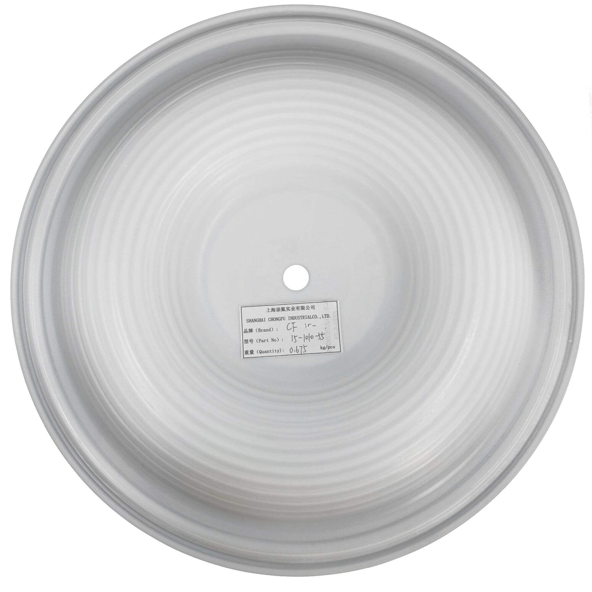 CF15-1010-55 PTFE  Diaphragm 