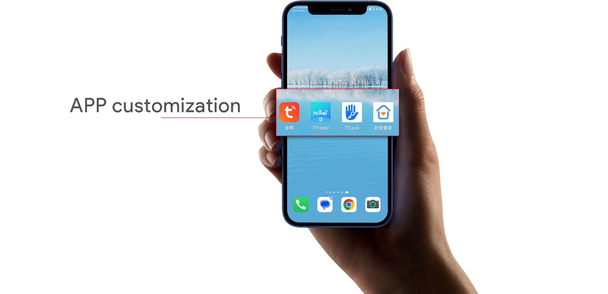 APP Apperance Customization